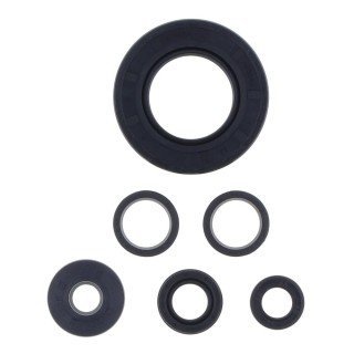Kit retenes motor KAW. Z750 03-11