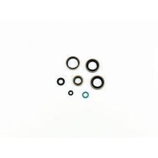 Kit retenes motor KAWASAKI KDX 220 A4/A5 '97-01