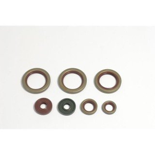Kit retenes motor KTM RFR690 '08