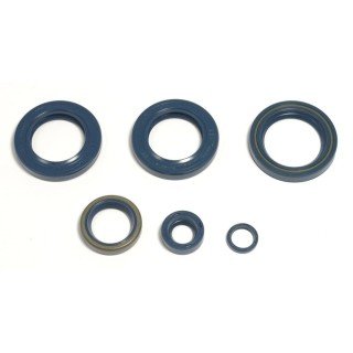 Kit retenes motor KTM400-620-640-LC4-E 99-01