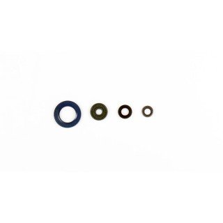 Kit retenes motor KTM ADVENT.950-990 02-12