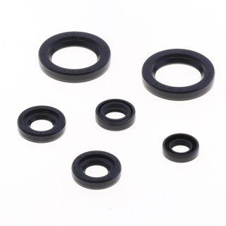 KIT RETENES MOTOR KTM DUKE 125 11-16