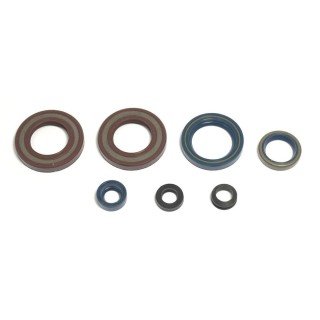 Kit retenes motor KTM 600 LC4 MOD.87-94
