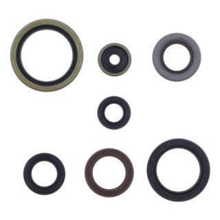 KIT RETENES MOTOR KTM SX250-EXC300 18-21
