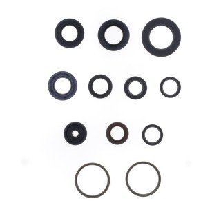 Kit retenes motor MBK SKYLINER/MALAGUTI MADISON
