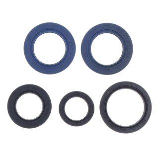Kit retenes motor ROTAX 504