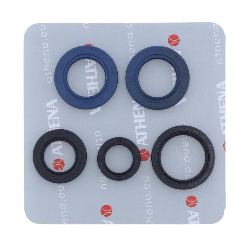 Kit retenes motor ROTAX 504