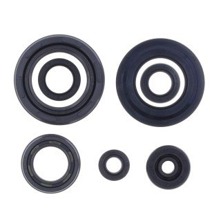 KIT RETENES MOTOR YFZ S BANSHEE350 87-06
