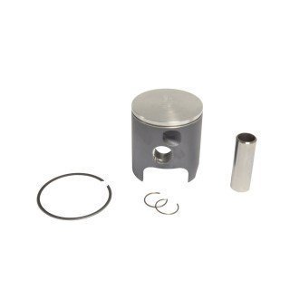 Piston Ø 54,19
