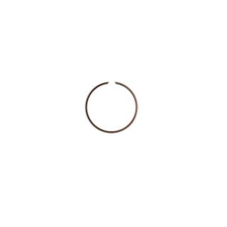 Aros ( segmentos)