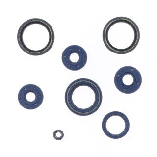 Kit retenes motor APR.125 SINTESI ROTAX