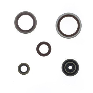 S.PARAOLIO BETA RR 300 13-22
