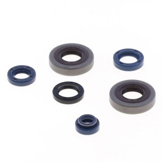 KIT RETENES MOTOR BETA 50 CIGNO,CAMOSCIO