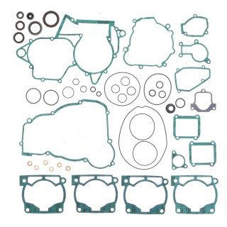 Juntas motor (retenes incluidos) BETA RR 300 13-22