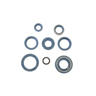 Kit retenes motor CAGIVA/DUCATI 350,650