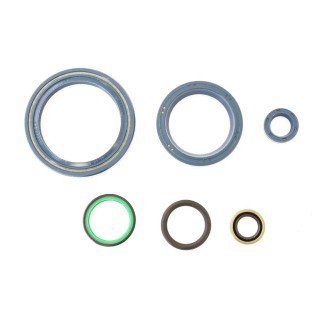 Kit retenes motor DUCATI 1000 REPLICA 83-85