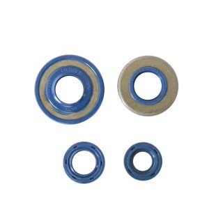 Kit retenes motor FBM P4-P6-R3GL-MCS