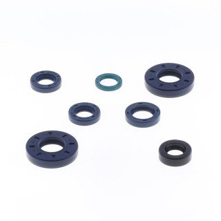 Kit retenes motor F.MORINI G30-G40