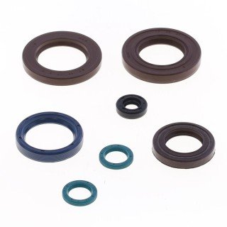 Kit retenes motor GILERA 250 ARIZONA