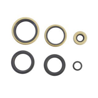 Kit retenes motor 1000 XLH 73-85