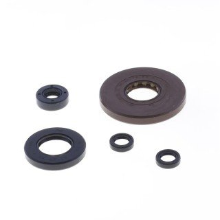 Kit retenes motor HONDA XL700 06-11