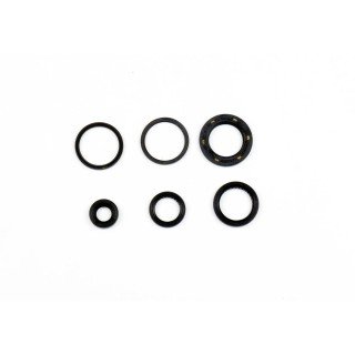 Kit retenes motor L. HONDA NSS 250 FORZA 2005-2007