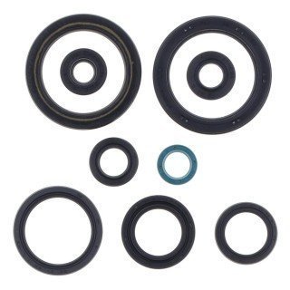 KIT RETENES MOTOR HONDA CRF 450 R 17-20