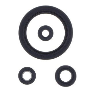 Kit retenes motor HONDA CB 1000 CBR 87-99