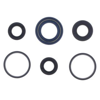 Kit retenes motor PGT ST50 HONDA VISION II