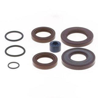 Kit retenes motor HEXAGON 94-99