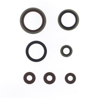 KIT RETENES MOTOR SHERCO SE-R 250/300 14-20