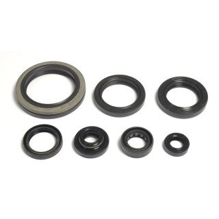 Kit retenes motor SUZUKI RMX 250  1997-98