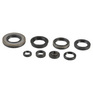 KIT RETENES MOTOR SUZUKI RM 250 03-08