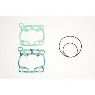 Race gasket kit SUZ.RM85 02-21