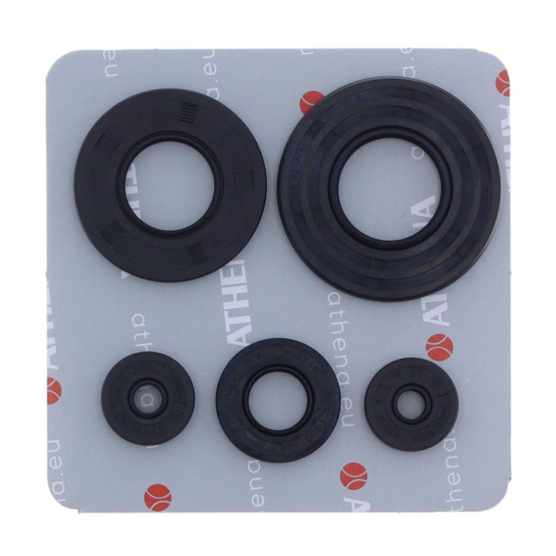 Kit retenes motor ROTAX FORMULA MX 92-93