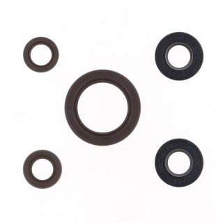 Juego de retenes de aceite del motor