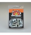 Set of bolts M6x19 hexagon head + M6 steel locking nut (6pcs)