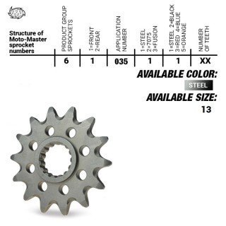 Piñón Motomaster (520-13T) TM