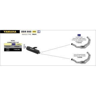 Colector racing YAMAHA MT-09 TRACER'15