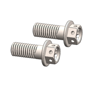 Supermoto caliper bolt set: Race-drilled (M8x24)